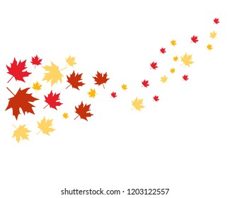 Maple leaves logo and symbol