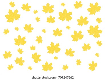 maple leaves in a mess on a light background.