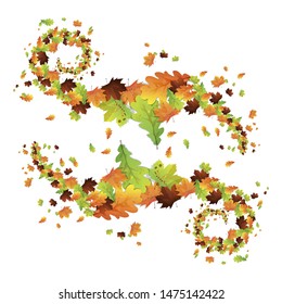 Maple leaves. Oak leaves. Autumn leaves design elements - Vector
