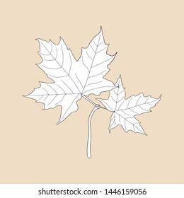Maple leaves on a brownish background. Can be used for postcards, invitations, advertising, web, textile and other.