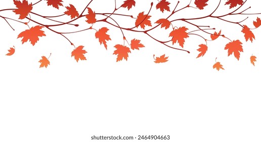 Maple leaves on tree branches. Autumn background template with falling leaves and with an empty space for text. Isolated. Vector illustration