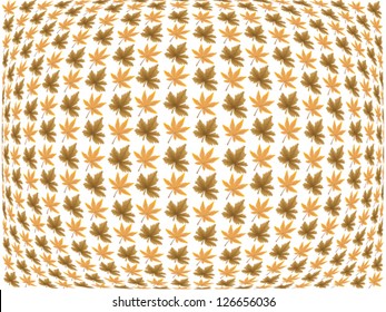 Maple Leaves on White Background, Vector Version