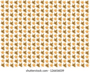 Maple Leaves on White Background, Vector Version