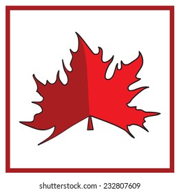 Maple leaves on a white background