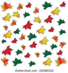 Maple leaves on a white background