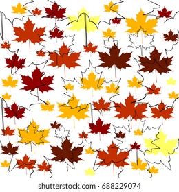 maple leaves pattern