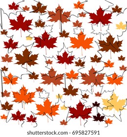 maple leaves pattern