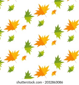 Maple leaves pattern. Autumn . On white background .
