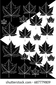 Maple Leaves Pattern - Illustration
Canada, book cover, Canada Day, Leaf, Maple Leaf, Plant, Symbol