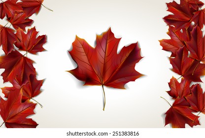 Maple leaves placed in form of Canadian flag, vector illustration