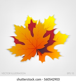 Maple leaves in a realistic style on a white background, isolated object. Vector illustration, botanical element of autumn dry leaf for your projects.