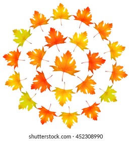 Maple leaves round frame vector illustration, design with beautiful autumn maple leaf isolated on white background