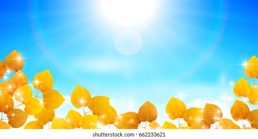 Maple leaves Maple scenery background
