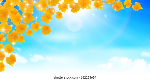Maple leaves Maple scenery background