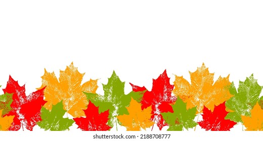 Maple leaves, seamless border with colorful autumn tree foliage