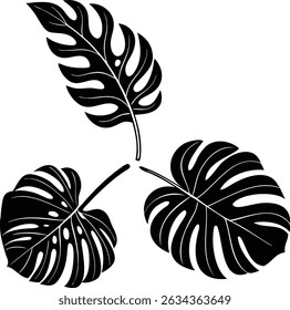 maple leaves silhouette isolated  vector 