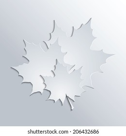 Maple leaves silhouettes on gray background.