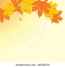 Maple leaves with spiderweb. Vector