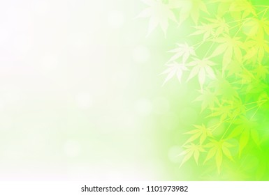Maple leaves summer background