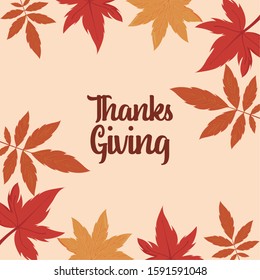 Maple leaves of thanksgiving day design, Autumn season holiday greeting and traditional theme Vector illustration