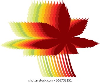 Maple leaves in tones of color