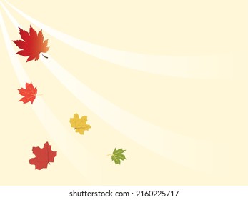 Maple leaves are unique and beautiful leaves with beautiful fall colors.