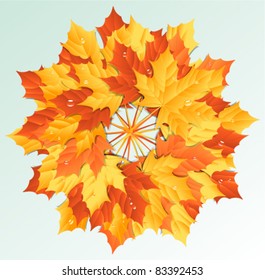 maple leaves vector