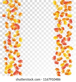 Maple leaves vector, autumn foliage on transparent background. Canadian symbol maple red yellow gold dry autumn leaves. Flying tree foliage vector september season specific background.