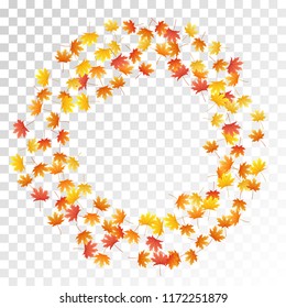 Maple leaves vector, autumn foliage on transparent background. Canadian symbol maple red yellow gold dry autumn leaves. Stylish tree foliage vector fall season specific background.