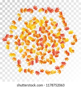 Maple leaves vector, autumn foliage on transparent background. Canadian symbol maple red orange yellow dry autumn leaves. Chic tree foliage fall season specific background.