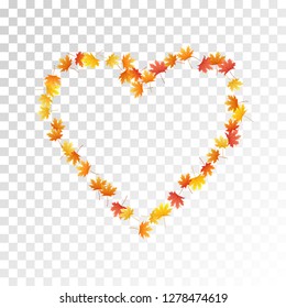 Maple leaves vector, autumn foliage on transparent background. Canadian symbol maple red orange yellow dry autumn leaves. Realistic tree foliage november season specific background.