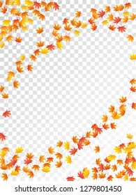 Maple leaves vector, autumn foliage on transparent background. Canadian symbol maple red orange yellow dry autumn leaves. Natural tree foliage november seasonal background.