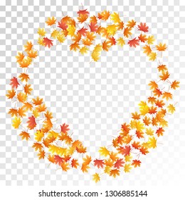 Maple leaves vector, autumn foliage on transparent background. Canadian symbol maple red orange gold dry autumn leaves. Garden tree foliage vector september seasonal background.