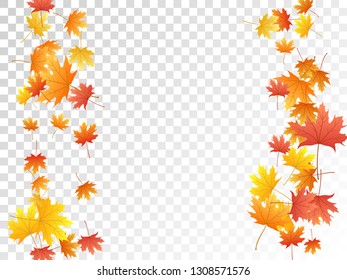 Maple leaves vector, autumn foliage on transparent background. Canadian symbol maple red yellow gold dry autumn leaves. Flying tree foliage october season specific background.