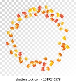 Maple leaves vector, autumn foliage on transparent background. Canadian symbol maple red yellow gold dry autumn leaves. Stylish tree foliage vector fall season specific background.