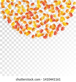 Maple leaves vector, autumn foliage on transparent background. Canadian symbol maple red orange gold dry autumn leaves. Natural tree foliage vector november season specific background.