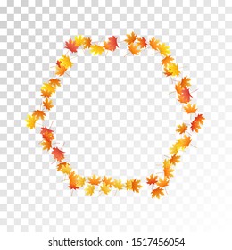 Maple leaves vector, autumn foliage on transparent background. Canadian symbol maple red orange gold dry autumn leaves. Bright tree foliage fall season specific background pattern.
