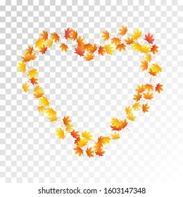 Maple leaves vector, autumn foliage on transparent background. Canadian symbol maple red yellow gold dry autumn leaves. Detailed tree foliage november season specific background.