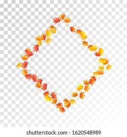 Maple leaves vector, autumn foliage on transparent background. Canadian symbol maple red orange yellow dry autumn leaves. Abstract tree foliage fall season specific background graphics.
