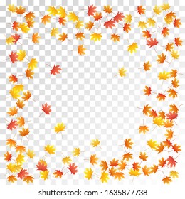 Maple leaves vector, autumn foliage on transparent background. Canadian symbol maple red yellow gold dry autumn leaves. Elegant tree foliage vector october seasonal background.