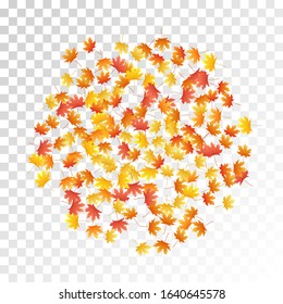 Maple leaves vector, autumn foliage on transparent background. Canadian symbol maple red orange gold dry autumn leaves. Fantastic tree foliage november seasonal background pattern.