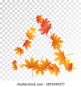 Maple leaves vector, autumn foliage on transparent background. Canadian symbol maple red yellow gold dry autumn leaves. Romantic tree foliage november seasonal background pattern.