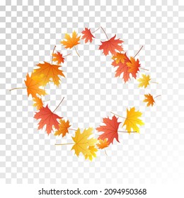 Maple leaves vector, autumn foliage on transparent background. Canadian symbol maple red orange yellow dry autumn leaves. Stylish tree foliage vector september seasonal background.