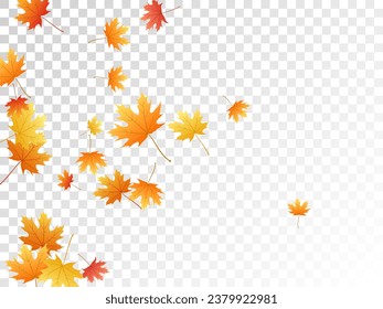 Hojas de arce vectoriales, follaje otoñal sobre fondo transparente. Símbolo canadiense maple rojo naranja amarillo hojas secas de otoño. Antecedentes específicos de la temporada de vectores de follaje de árbol floral de noviembre.