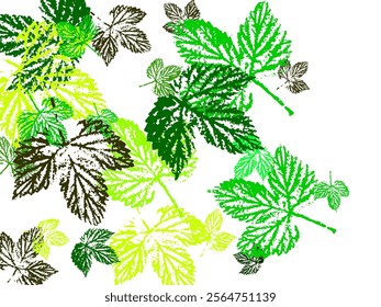 Maple leaves vector, autumn foliage on transparent background.  Stylish tree foliage vector september seasonal background.