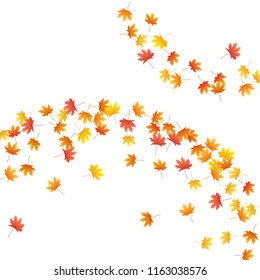 Maple leaves vector background, autumn foliage on white illustration. Canadian symbol maple red yellow gold dry autumn leaves. Cool tree foliage vector september season specific background.