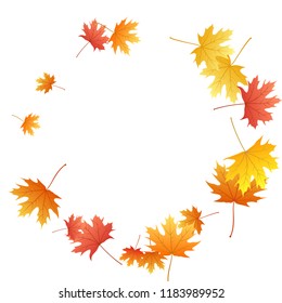 Maple leaves vector background, autumn foliage on white illustration. Canadian symbol maple red orange yellow dry autumn leaves. Chic tree foliage november seasonal background.