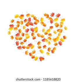 Maple leaves vector background, autumn foliage on white illustration. Canadian symbol maple red orange yellow dry autumn leaves. Nostalgic tree foliage vector november seasonal background.