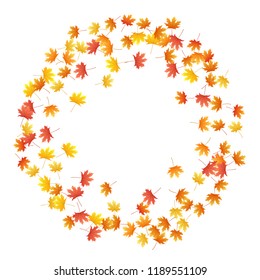 Maple leaves vector background, autumn foliage on white illustration. Canadian symbol maple red yellow gold dry autumn leaves. Bright tree foliage october background pattern.