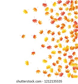 Maple leaves vector background, autumn foliage on white graphic design. Canadian symbol maple red yellow gold dry autumn leaves. Beautiful tree foliage october background pattern.